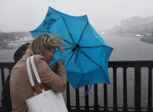 В Москве из-за сильного ветра в понедельник фиксируются случаи падения деревьев