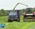 На предприятии Тулома идет уборка озимых трав