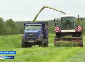 На предприятии Тулома идет уборка озимых трав