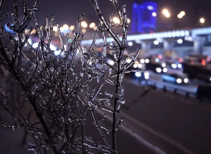 Снегопад и гололед прогнозируются в Москве и области в четверг