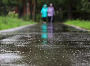 Более 300 народных троп благоустроили в Подмосковье