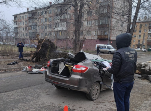 В Новокузнецке из-за падения дерева на машину погибли два человека