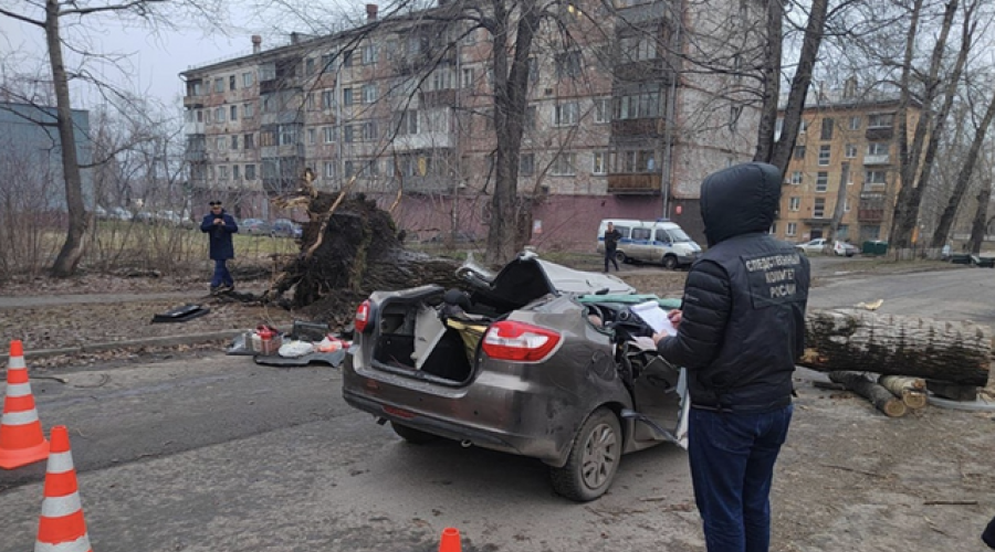 В Новокузнецке из-за падения дерева на машину погибли два человека