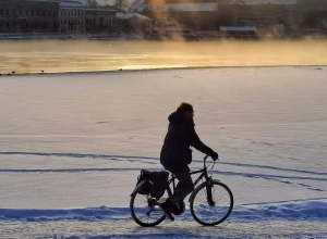 Участок веломаршрута из Москвы в Петербург открыт в Мытищах