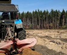 В Звенигородском лесничестве была подготовлена площадка для проведения акции Посади свое дерево