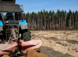 В Звенигородском лесничестве была подготовлена площадка для проведения акции Посади свое дерево