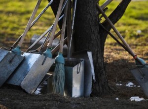 Около 930 тысяч человек приняли участие в общегородском субботнике в Москве