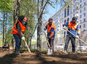 Более 6,5 тысячи мест благоустройства предложили нижегородцы на сайте golosza.ru