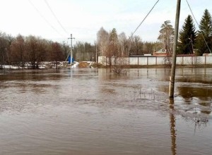 В Оренбуржье железобетонный мост через реку Боровка в нацпарке смыло течением