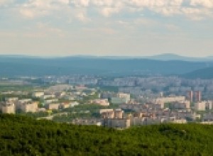 Зеленый Мурманск