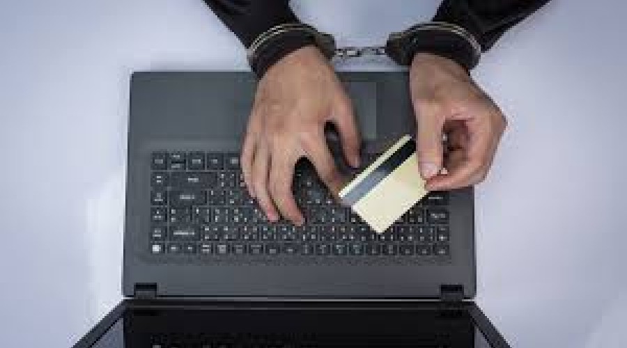 Число мошенничеств в Мурманской области стремительно растет