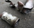 Сенатор Кастюкевич: ВСУ подвергают жителей Кинбурнской косы ежедневным обстрелам