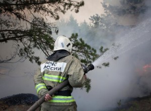 В Алуште ликвидировали горение лесной подстилки на 4,2 тысячи квадратов