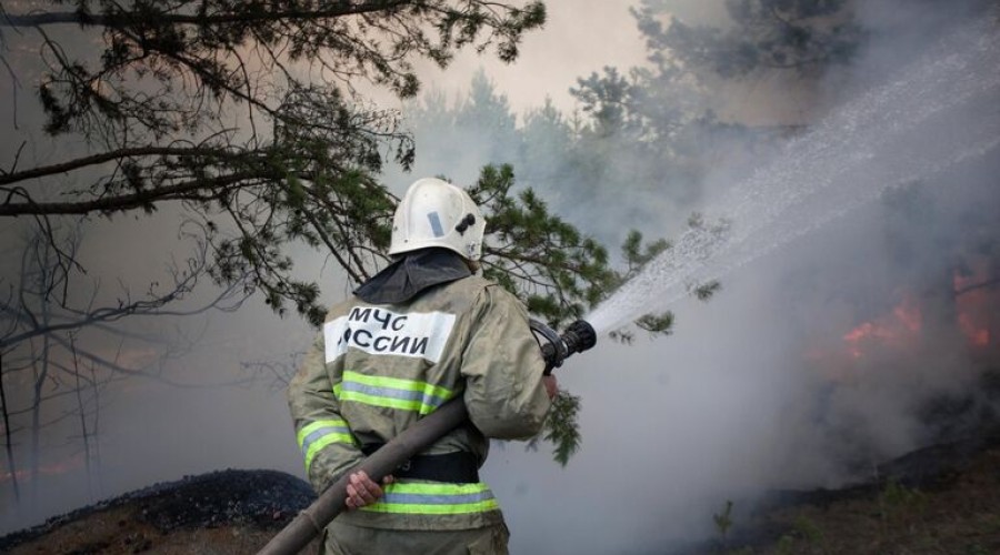 В Алуште ликвидировали горение лесной подстилки на 4,2 тысячи квадратов