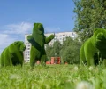 ЦУР Мурманской области: по итогам недели отработано 66% сообщений