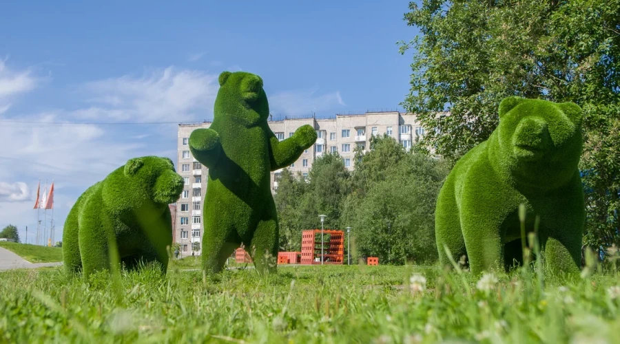 ЦУР Мурманской области: по итогам недели отработано 66% сообщений