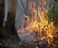 Осипов отменил режим ЧС в Забайкалье из-за природных пожаров