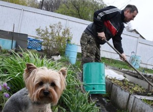 Дом и дачный участок после зимы нуждаются в генеральной уборке