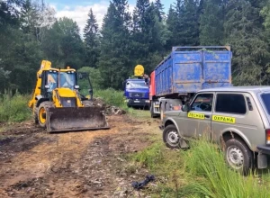 Леса Московской области продолжают очищать от гор мусора