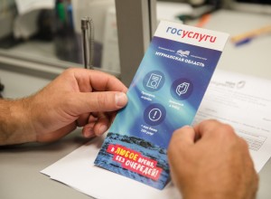 Мурманская область демонстрирует высокий уровень цифровизации массовых услуг