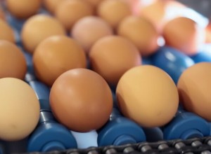 Сколько яиц можно есть в день без вреда для здоровья