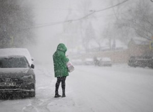 В Москве за ночь выпало до пяти миллиметров осадков