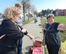 Какие грибы можно собирать и покупать