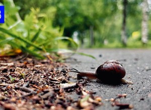 Прогноз погоды по Мурманской области на 25 июля