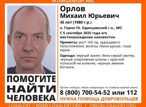 В Одинцовском округе ищут пропавшего мужчину из посёлка Горки-10