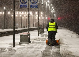 В Новосибирске крупная собака убежала с перрона после передачи хозяину