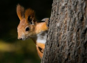 Золотая осень в России: где увидеть самые яркие краски