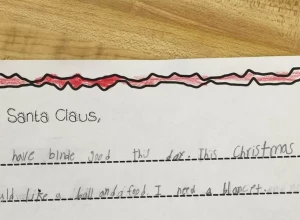 Более 40% американцев планируют подарить меньше подарков из-за пошлин