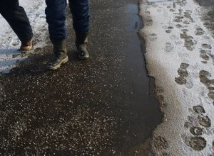  В Московской области завершилось строительство свыше 60 километров тротуаров по национальному проекту Безопасные качественные дороги