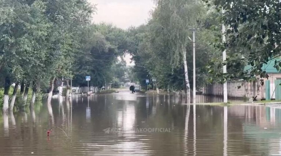 Шесть сел и дачный поселок остались без транспортного сообщения в Приморье