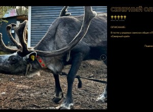 Продолжается прием работ на IX Международный фотоконкурс «Русская цивилизация»