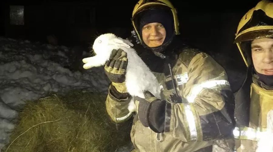 В садоводстве Центрального округа Омска пожарные спасли из огня 8 кроликов