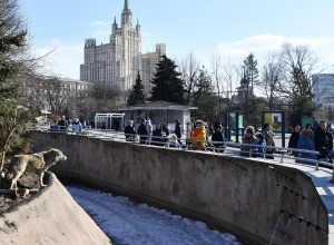 Коллекция животных Московского зоопарка выросла до 1243 видов со дня основания