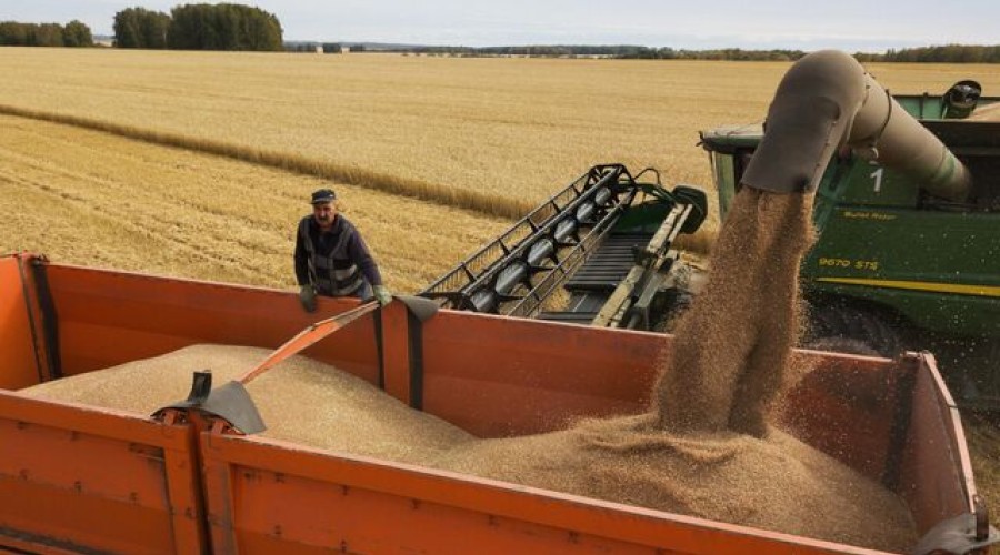 Россия не заинтересована в продлении зерновой сделки