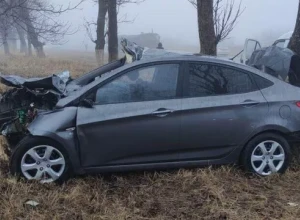 На трассе Кавказ в КБР произошло ДТП с лошадью, две женщины погибли