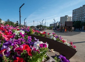 В Мурманской области продолжается реализация крупных проектов благоустройства