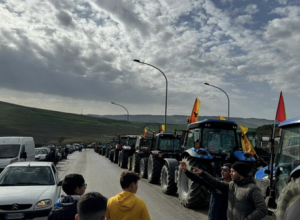 В Италии фермеры провели митинги на сельскохозяйственной технике